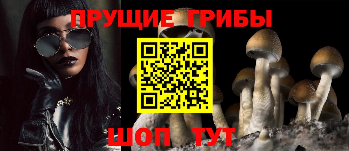 Галлюциногенные грибы Psilocybe  Вход с VPN  Орск  Псилоцибиновые грибы прущие грибы 