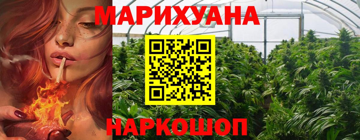 Каннабис White Widow  Марихуана семена  Вход с VPN  Орск  Бошки марихуана сатива 